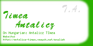 timea antalicz business card
