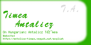 timea antalicz business card